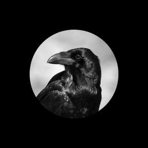 寡妇遗像前被肉波多野
